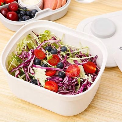 Large Capacity Plastic Salad Bowl The Trend for OEM ODM Bento Lunch